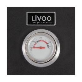 Livoo GS149 Horno de Pizza de Acero Inoxidable para Barbacoa de Gas o Carbón - 33,5 x 27,5 cm