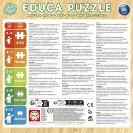 Educa Puzzle 2x25 piezas Frozen