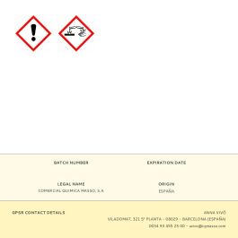 Massó Limpiador para Inodoros - Desincrustante Antisarro - Especial WC - Capacidad 750 ml