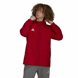 Chaqueta Deportiva para Hombre Adidas Entrada 22 Rojo Precio: 41.68999945. SKU: S6491387