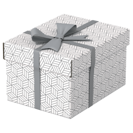 Esselte Caja de Almacenamiento Blanca 628280 Pack 3 Cajas 255x200x150mm