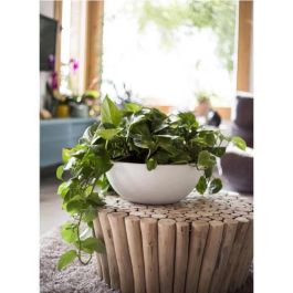 EDA PLASTIQUE - Maceta de lavabo Graphit'Up Ø 40 - 14,9L - Blanco cal EDA PLASTIQUE - Maceta de lavabo Graphit'Up Ø 40 - 14,9L - Blanco cal