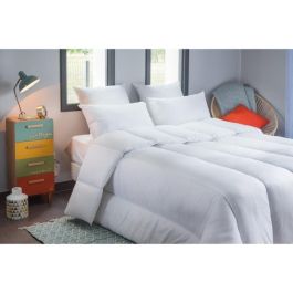 BLANREVE Edredón Percale muy cálido - Anti-ácaros - 420g / m² - 220x240cm BLANREVE Edredón Percale muy cálido - Anti-ácaros - 420g / m² - 220x240cm