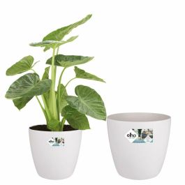 Elho 5643504015041 Juego 2 Maceteros Redondos Bruselas con Ruedas Ø35xH33cm y Ø39xH36.5cm, 55L, Blanco