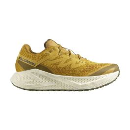 Zapatillas de Running para Adultos Salomon Aero Glide 3 Grvl Dorado 31 Precio: 130.68999944. SKU: B1FSWZMLV2