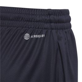 Pantalones Cortos Deportivos para Niños Adidas Predator Kids Azul