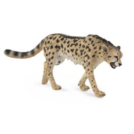 Guepardo -L- 88608 Collecta Precio: 7.9618. SKU: B1D8Y8BGXL