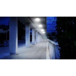 Steinel DL VARIO QUATTRO PRO NW WS Lámpara de Exterior LED Profesional 14W 4000K IP54 Blanco