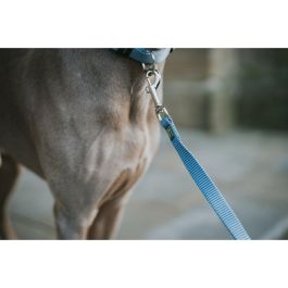 Correa para Perro Hunter Azul 100 cm