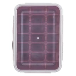 Cook Concept Molde 21 Cubitos Con Tapa