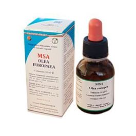HERBOPLANET MSA Olea Europaea Brotes Jóvenes, Solución Hidro-Gliceroalcohólica Espagírica, contribuye a circulación normal, 50ml Precio: 17.5000001. SKU: B14RHG49T7