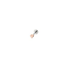 Pendientes Mujer AN Jewels AS.PT02R Precio: 43.49999973. SKU: B132A7SG7W