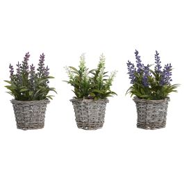 Planta DKD Home Decor Lila Rosa 7 x 20 x 7 cm (12 Unidades) Precio: 100.49999971. SKU: B1D8NQPEGD