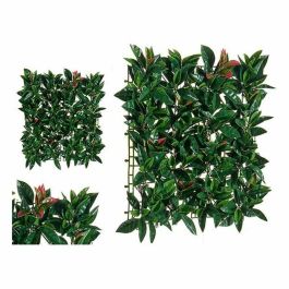 Planta Decorativa Ibergarden Precio: 10.50000006. SKU: S3604416