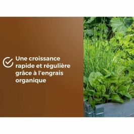 Or Brun OBRTARO6U Tierra para hortalizas y plantas aromáticas - 6L - Crecimiento rápido