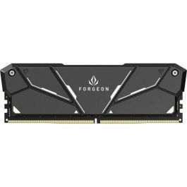 Memoria RAM Forgeon 16 GB DIMM 3200 MHz CL16 Memoria RAM Forgeon 16 GB DIMM 3200 MHz CL16