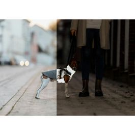 Abrigo para Perro Trixie Pontis Reflect Gris XXS