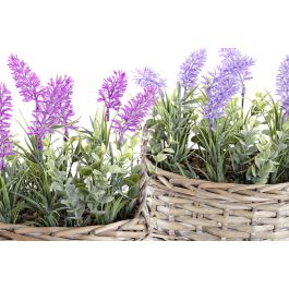 DKD Home Decor Planta Shabby Lila Rosa 19 x 12 x 22 cm (4 Unidades)