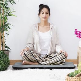 Silla de Suelo Reclinable Sitinel InnovaGoods