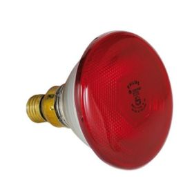 Philips Bombilla Infrarrojos Roja 100 W para Calefacción de Animales y Mascotas (1 unidad) Precio: 14.49999991. SKU: B1K2QWML66