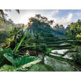 Puzzle de 2000 piezas En el corazón de Bali, Adultos y niños a partir de 14 años, Colección Escape, 12001518, Nathan Precio: 40.49999954. SKU: B13G73ARQ3