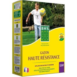 Césped - BHS - Alta resistencia 3KG - Uso intensivo Césped - BHS - Alta resistencia 3KG - Uso intensivo