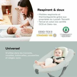 Babymoov BAB3661276188624 Reposacabezas Bebé Cosyhead Soporte Morfológico Algodón Orgánico Oeko-Tex Verde Salvia Babymoov BAB3661276188624 Reposacabezas Bebé Cosyhead Soporte Morfológico Algodón Orgánico Oeko-Tex Verde Salvia