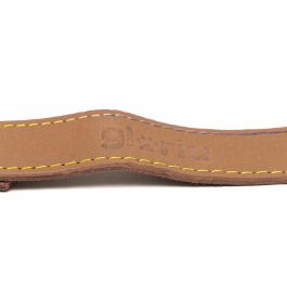 Gloria Correa de Cuero para Perro Oasis 60 cm x 30 mm Marrón con Costuras Reforzadas y Mosquetón Retráctil