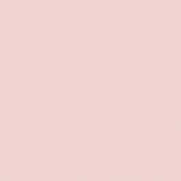 Cricut Rollo de vinilo de termotransferencia liso, Rosa, 305 mm x 1220 mm, 2006857 Cricut Rollo de vinilo de termotransferencia liso, Rosa, 305 mm x 1220 mm, 2006857