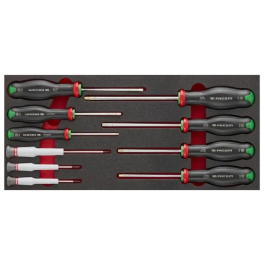 Facom Módulo de espuma para destornilladores MODM.AT6PB Protwist Torx, 10 piezas, 10x75 a 40x150 mm Precio: 102.50000024. SKU: B19CWACNL8