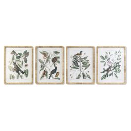 Cuadro Shabby DKD Home Decor Verde Beige 2.5 x 65 x 50 cm (4 Unidades) Precio: 183.89000047. SKU: S3028414