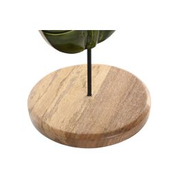 DKD Home Decor Decoracion Tropical Verde Natural 25 x 110 x 22 cm Set de 3 Piezas Mango Metal
