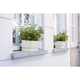 Plantera ovalada Greenville - Plastic - Ø70 - Green de hoja Plantera ovalada Greenville - Plastic - Ø70 - Green de hoja