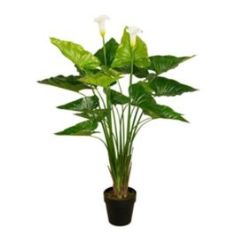 DKD Home Decor Planta Lirio de agua Verde Blanco 50 x 100 x 50 cm (2 Unidades) Precio: 108.49999941. SKU: B14WHWKVZX