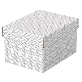 Esselte Caja de Almacenamiento Blanca 628280 Pack 3 Cajas 255x200x150mm Precio: 15.49999957. SKU: B1DQ24C2EH