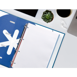 Liderpapel Recambio A4 200+50 Hojas 90gr Cuadro 5mm 4 Taladros Bandas de 5 Colores