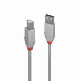 Lindy Cable USB 2.0 Tipo A a B 5m Anthra Line Gris – Rendimiento Profesional, Doble Apantallamiento, Contactos Dorados, 480Mbps Precio: 5.50000055. SKU: B19E4BMHLT