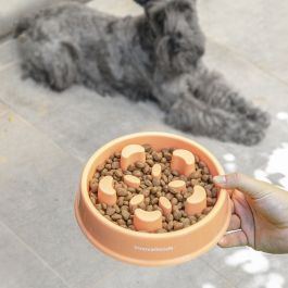 Comedero de Alimentación Lenta para Mascotas Slowfi InnovaGoods