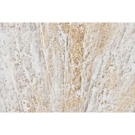 Cuadro Tradicional DKD Home Decor Blanco Beige 4.5 x 122 x 62 cm (2 Unidades) Cuadro Tradicional DKD Home Decor Blanco Beige 4.5 x 122 x 62 cm (2 Unidades)