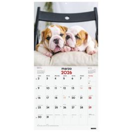 Calendario (2026) Finocam Pared Imagenes Mensual Para Escribir 300X300 Cachorros Precio: 8.98999992. SKU: B1JDYZHE46