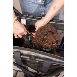 Carro de Compra Carlett CUBE P PINE Verde