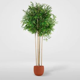 Árbol Home ESPRIT Poliéster Bambú 80 x 80 x 180 cm Precio: 150.79000035. SKU: B12NZ63ET8