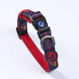 Dc Pets Collar para Perros Talla XS-S Azul Dc Pets Collar para Perros Talla XS-S Azul