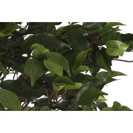 Planta DKD Home Decor Verde 80 x 150 x 80 cm (2 Unidades) Planta DKD Home Decor Verde 80 x 150 x 80 cm (2 Unidades)