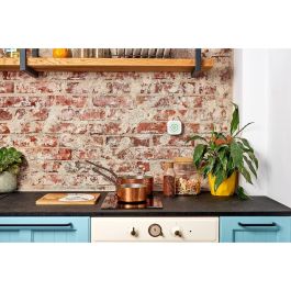 Shelly Detector Gas natural