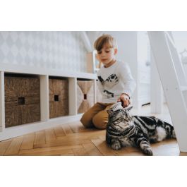 Hunter Cepillo Extra Suave Talla S para Perros y Gatos - Ideal para Pelo Corto, Medio y Largo, Diseño Ergonómico, Garantiza un Pelaje Brillante y Saludable Hunter Cepillo Extra Suave Talla S para Perros y Gatos - Ideal para Pelo Corto, Medio y Largo, Diseño Ergonómico, Garantiza un Pelaje Brillante y Saludable