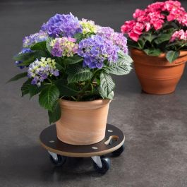 Bricotech Base Redonda Madera con Ruedas 38 x 11 cm