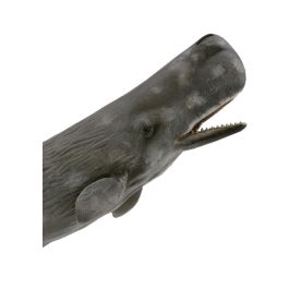 Collecta 88835 Cachalote XL Figura de Animal Marino Versión Mejorada con Piel Rugosa y Manchas Blancas para Niños +3 Años Collecta 88835 Cachalote XL Figura de Animal Marino Versión Mejorada con Piel Rugosa y Manchas Blancas para Niños +3 Años