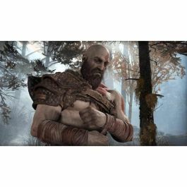 Sony Computer Entertainment God Of War PS4 PlayStation 4 PlayStation Hits