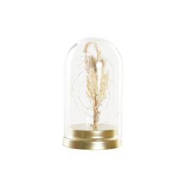 DKD Home Decor Decoración Luminosa Boho Luz LED de Cristal con Flor Seca Dorado Natural 12x22x12 cm Precio: 9.45978. SKU: S3029213